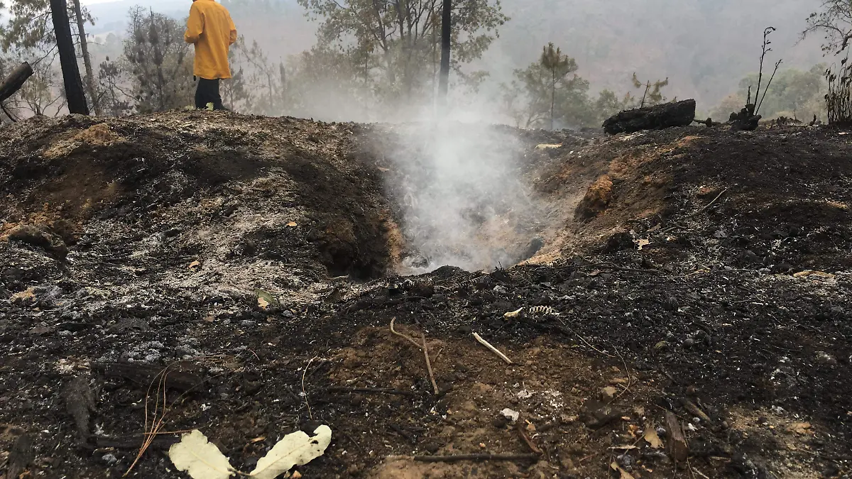 Incendios Forestales (ARCHIVO) (4)